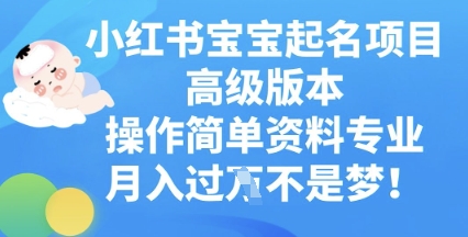 小红书宝宝起名项目高级版本，操作简单，资料专业，月入过W-神聪资源精品网-全网资源最全的网站每日分享