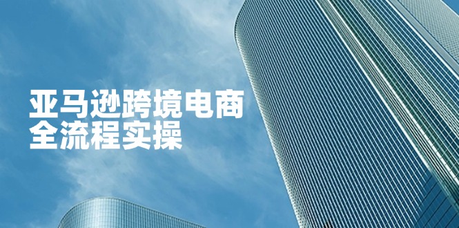（14252期）亚马逊跨境电商全流程实操，教你从零开始，掌握店铺运营与广告技巧-神聪资源精品网-全网资源最全的网站每日分享