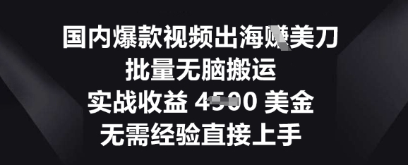 国内爆款视频出海挣美刀，批量无脑搬运，实战收益4.5k，无需经验直接上手-神聪资源精品网-全网资源最全的网站每日分享
