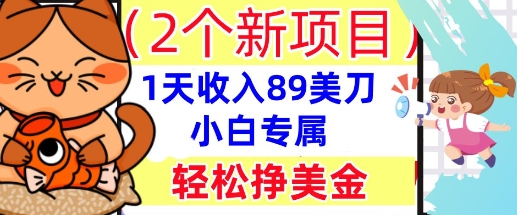 2个新项目，轻松挣美金， 1天收入89美刀，小白专属，干货分享-神聪资源精品网-全网资源最全的网站每日分享