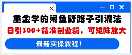 重金学的闲鱼野路子引流法，日引300+精准创业粉，可矩阵放大-神聪资源精品网-全网资源最全的网站每日分享