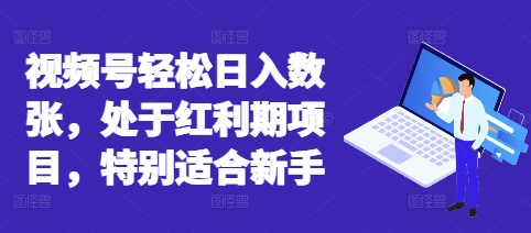视频号轻松日入数张，处于红利期项目，特别适合新手-神聪资源精品网-全网资源最全的网站每日分享
