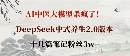 AI中医大模型杀疯了！DeepSeek中式养生2.0版本，十几篇笔记粉丝3w+-神聪资源精品网-全网资源最全的网站每日分享