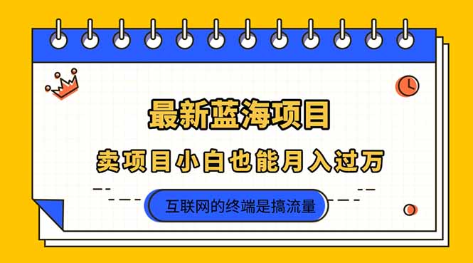 （14289期）2025年最新蓝海项目，卖项目小白也能月入过万-神聪资源精品网-全网资源最全的网站每日分享