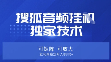 【搜狐音频挂G】独家技术，可矩阵可放大，红利期稳定月入8k【揭秘】-神聪资源精品网-全网资源最全的网站每日分享