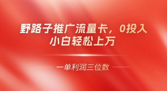 0门槛推广流量卡，一单收益上百，0投入，小白月入过W-神聪资源精品网-全网资源最全的网站每日分享