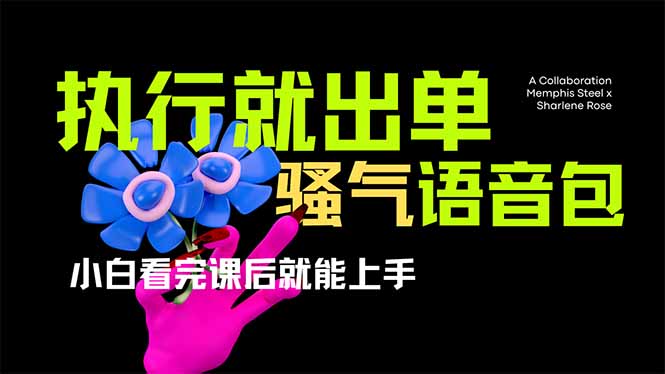 （14170期）爆火全网的开车导航骚气语音包,只要执行就出单，小白看完课程就能实操...-神聪资源精品网-全网资源最全的网站每日分享