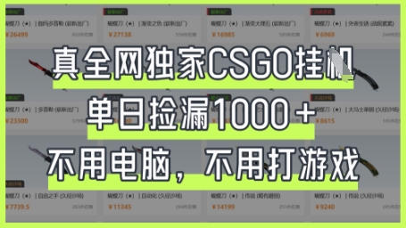 真全网独家CSGO挂G，单日捡漏1k+【揭秘】-神聪资源精品网-全网资源最全的网站每日分享