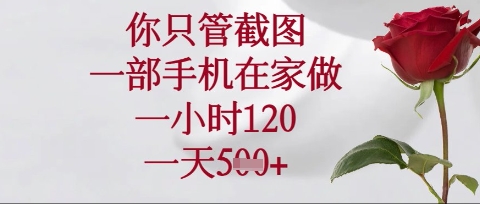 你只管截图，一部手机在家操作，一小时120.一天5张【揭秘】-神聪资源精品网-全网资源最全的网站每日分享